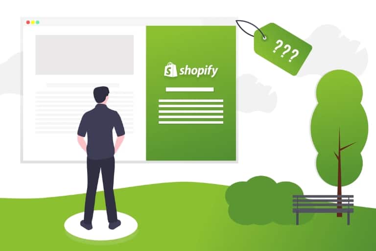 How Much Does It Cost To Build Shopify Website